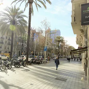 https://kiwidestiny-apartments-suites.topbarcelonahotels.com